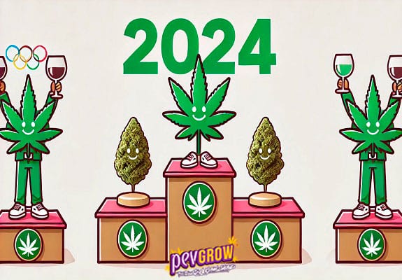 Descubra as melhores variedades de marijuana indica de 2024