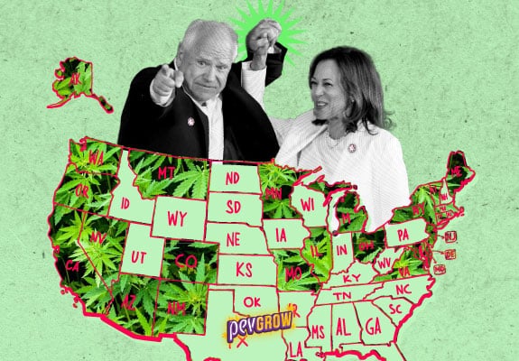 The Firm Stance of Tim Walz on Cannabis