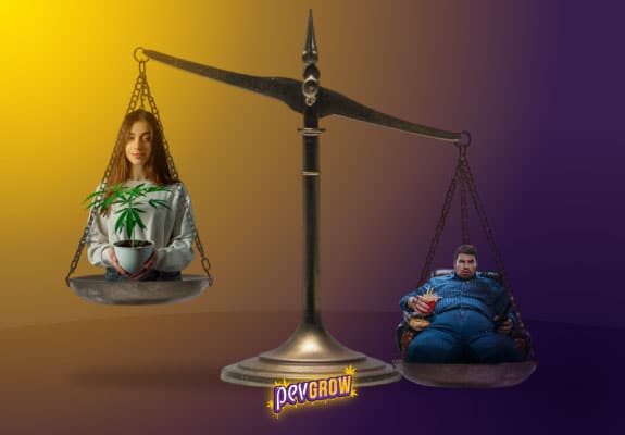 New Study Reveals: Cannabis Users Are Less Likely to Be Obese.