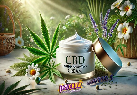 What is the best anti-inflammatory CBD cream on the market?