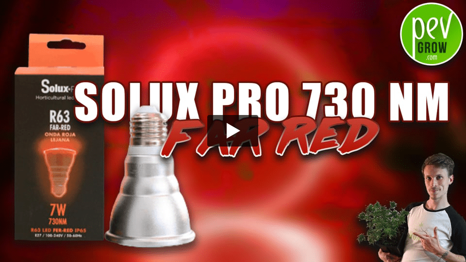 Vidéo: Ampoule Solux pro Far red 730 nm