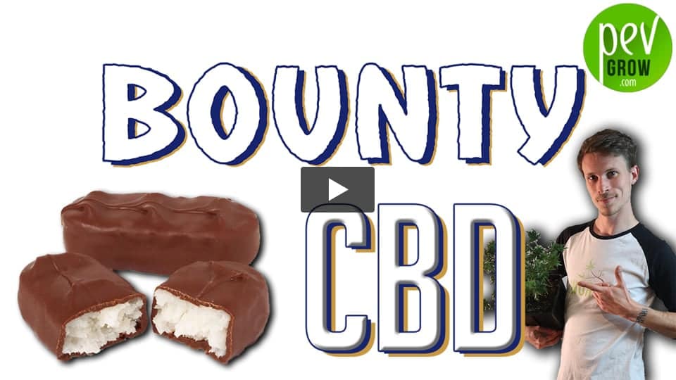 Vidéo: BOUNTY au CBD