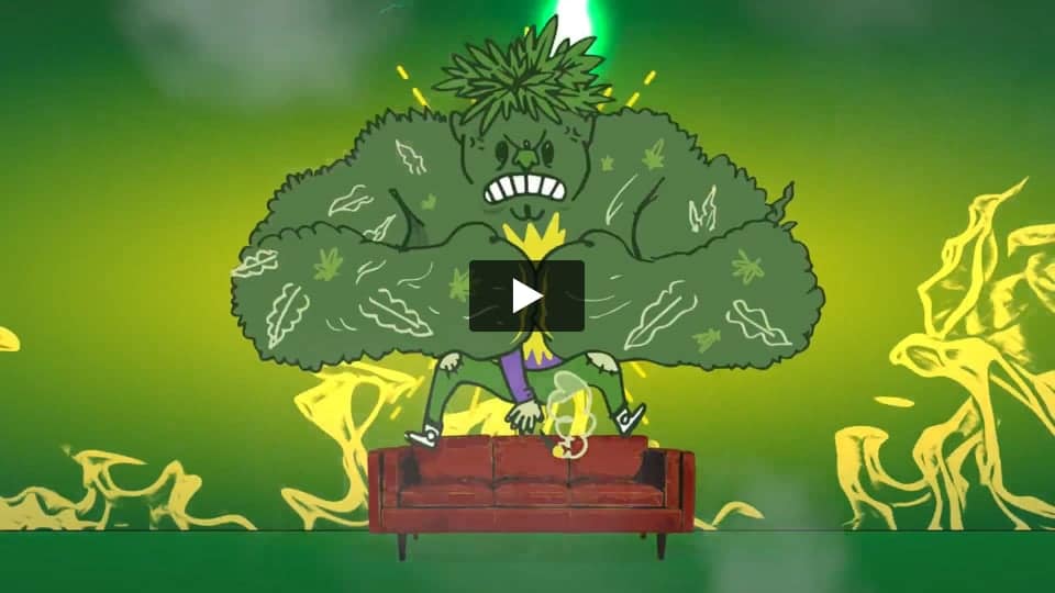 Vídeo: Bruce Banner PEV Seeds