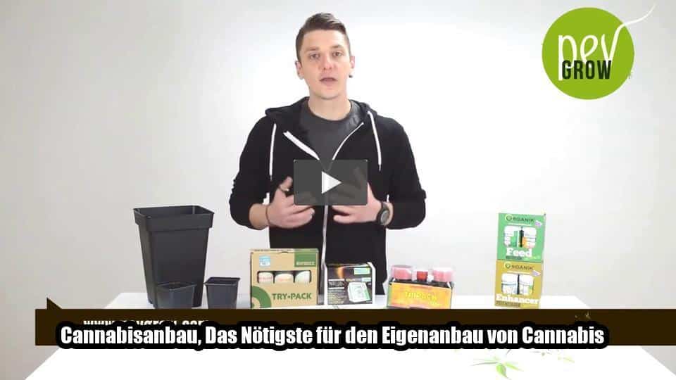 Video: Cannabisanbau, Das Nötigste für den Eigenanbau von Cannabis