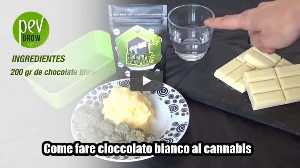 Video: Come fare cioccolato bianco al cannabis