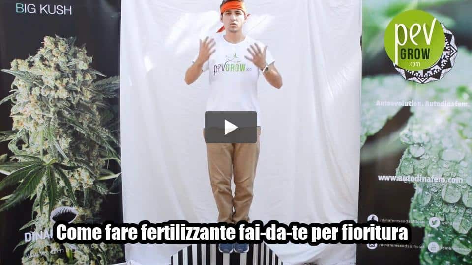 Video: Come fare fertilizzante fai-da-te per fioritura