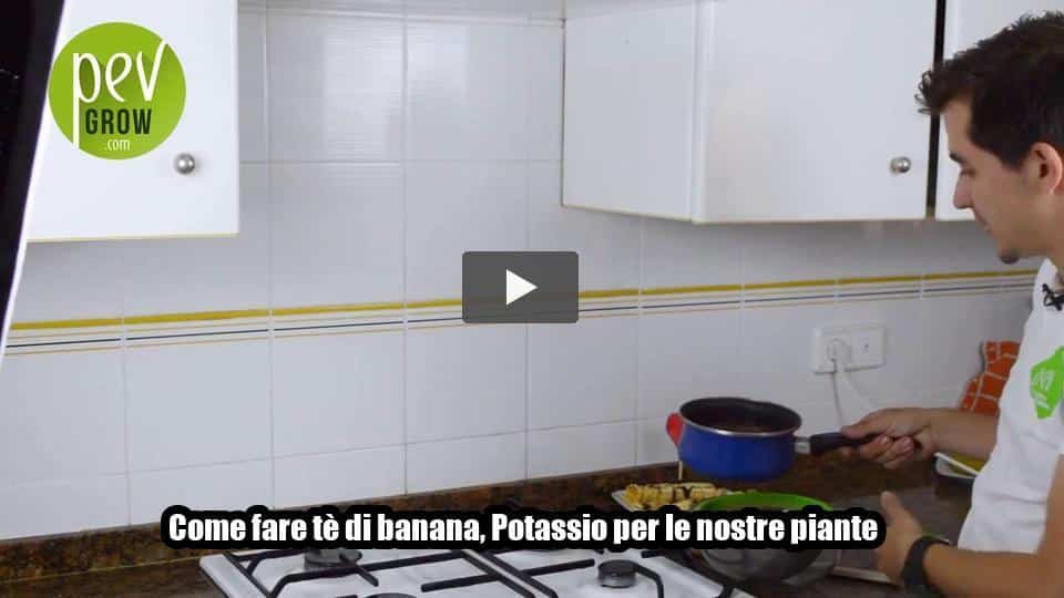 Video: Come fare tè di banana, Potassio per le nostre piante