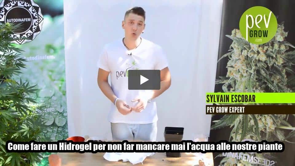 Video: Come fare un Hidrogel per non far mancare mai l’acqua alle nostre piante