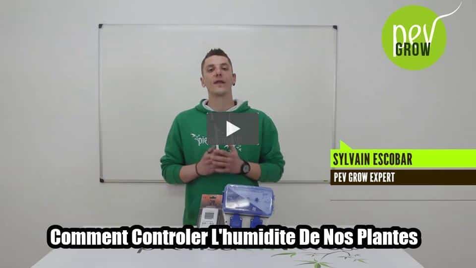 Vidéo: Comment Controler L'humidite De Nos Plantes