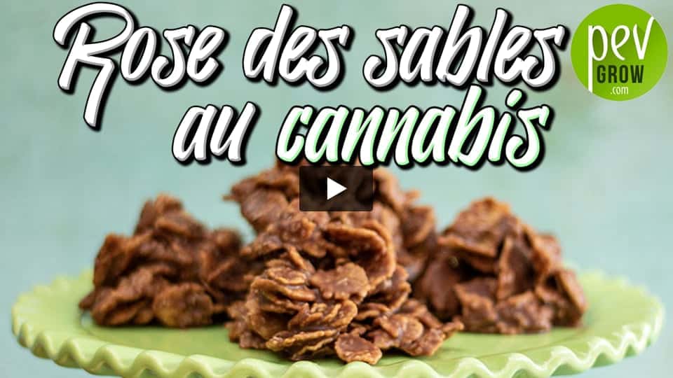 Vidéo: Comment faire de délicieuses Roses des Sables au cannabis