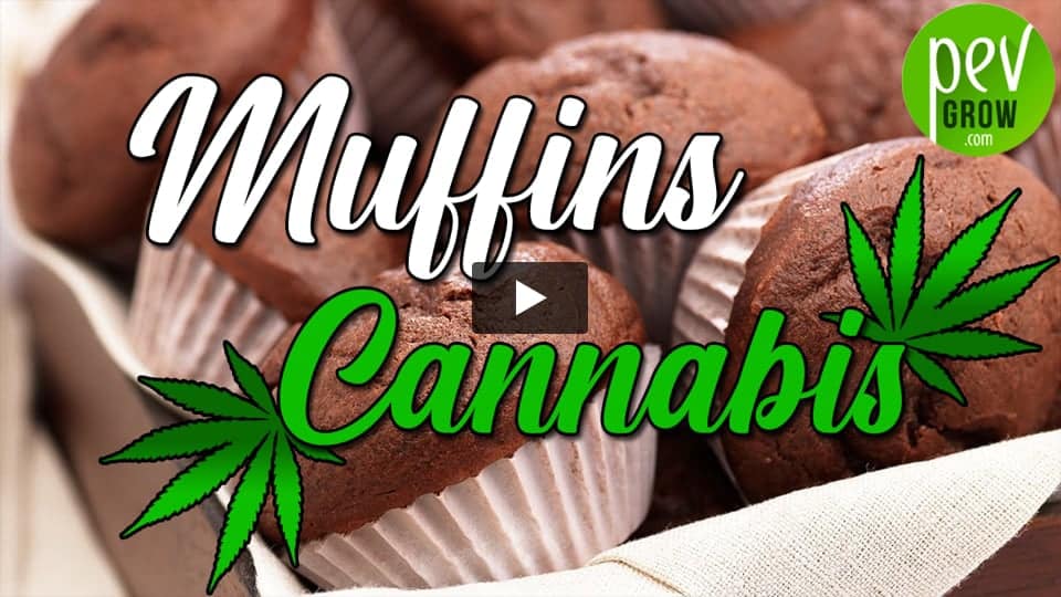 Vidéo: Comment faire de délicieux Muffins infusés au cannabis