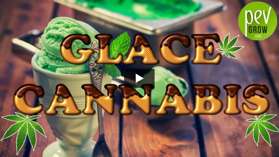 Vidéo: Comment faire de la glace au cannabis