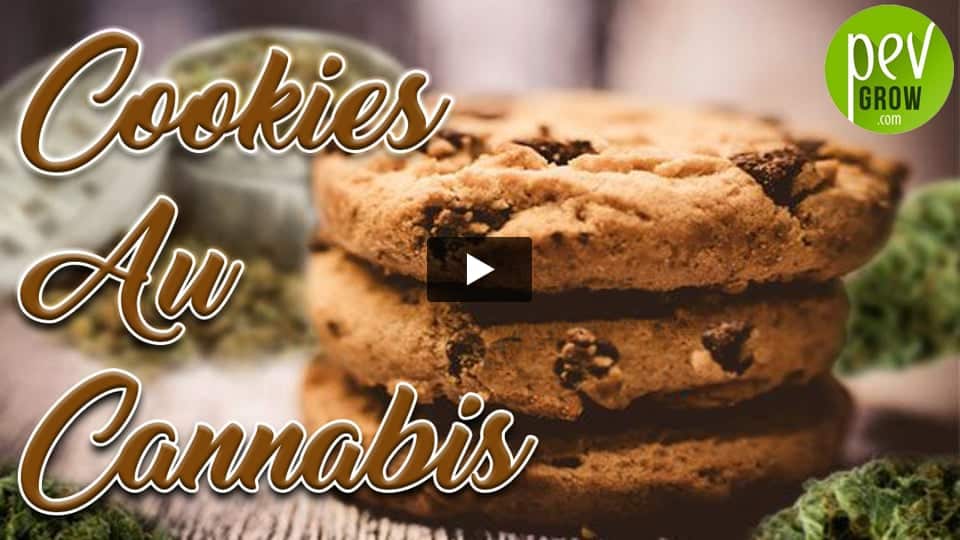 Vidéo: Comment faire des cookies au cannabis