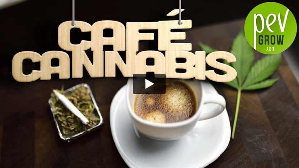 Vidéo: Comment faire un café au cannabis