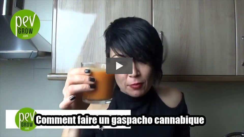 Vidéo: Comment faire un gaspacho cannabique