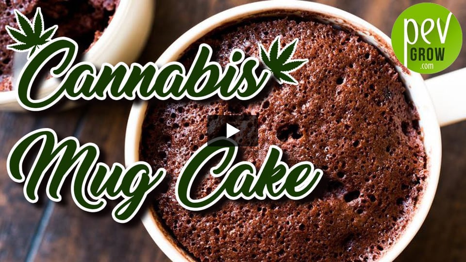 Vidéo: Comment faire un MugCake Chocolat au cannabis