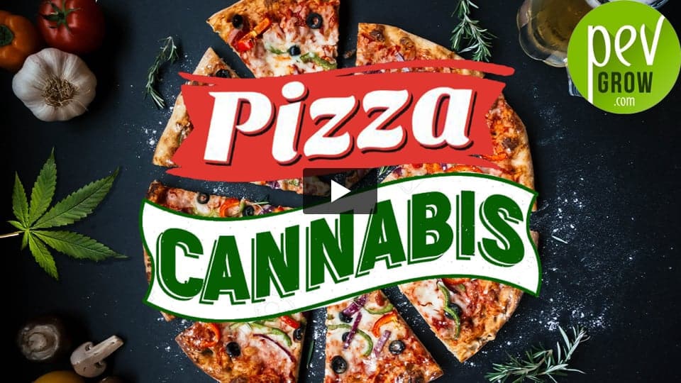 Vidéo: Comment faire une pizza au Cannabis facilement