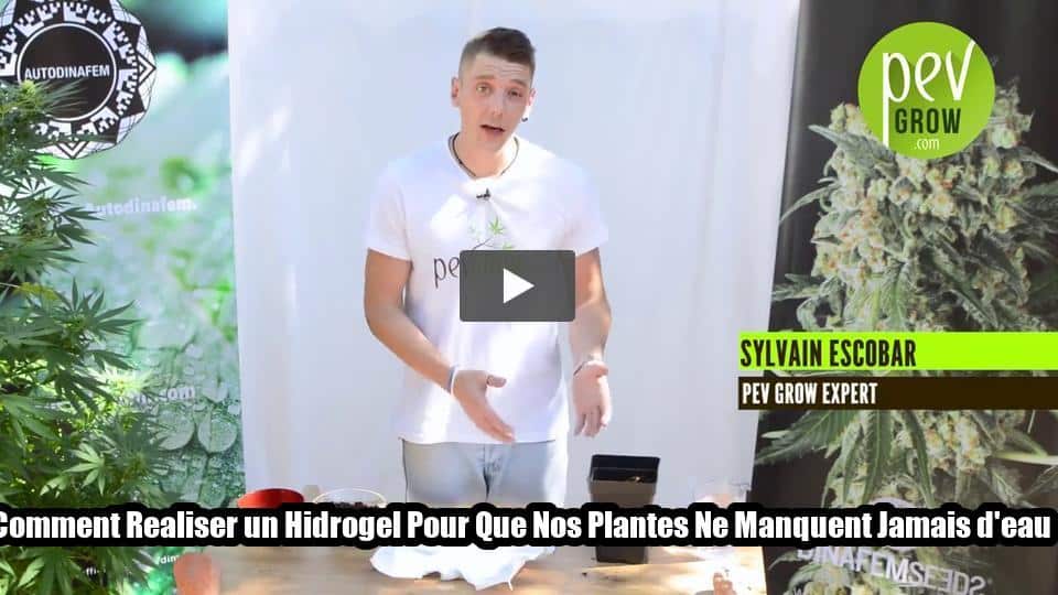 Vidéo: Comment Realiser un Hidrogel Pour Que Nos Plantes Ne Manquent Jamais d’eau