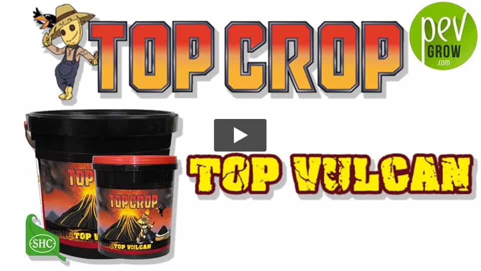 Vidéo: Comment utiliser l´engrais minéral TOP VULCAN de Top Crop