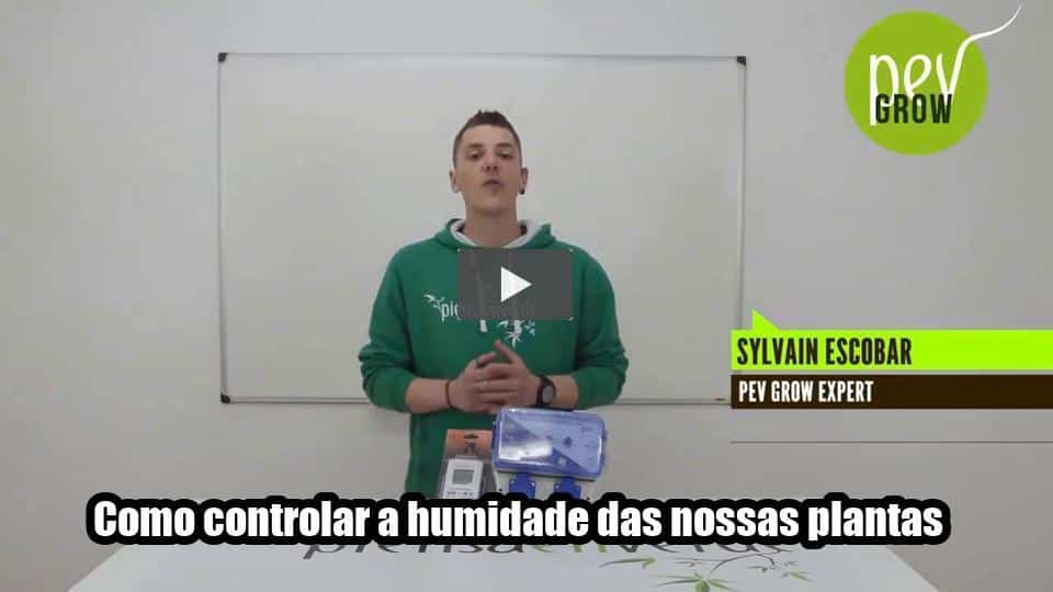 Vídeo: Como controlar a humidade das nossas plantas