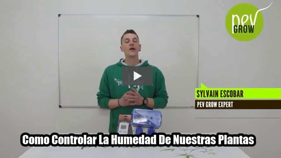 Vídeo: Como Controlar La Humedad De Nuestras Plantas