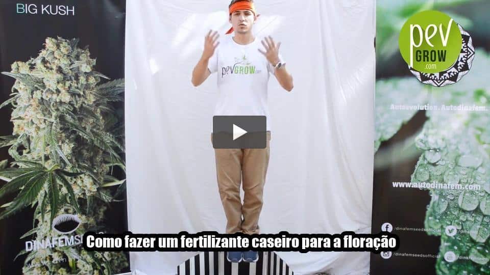 Vídeo: Como fazer um fertilizante caseiro para a floração