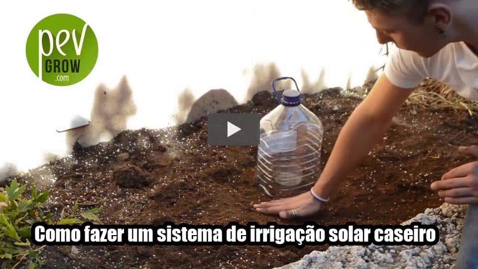 Vídeo: Como fazer um sistema de irrigação solar caseiro