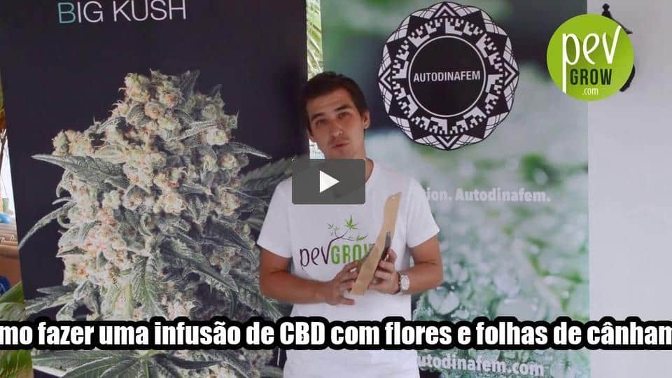 Vídeo: Como fazer uma infusão de CBD com flores e folhas de cânhamo.