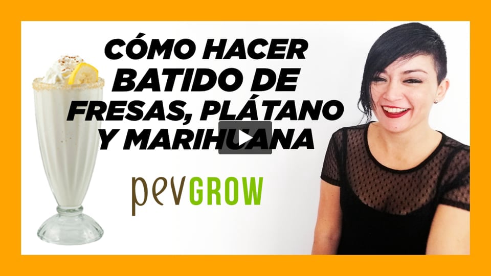 Vídeo: Cómo hacer batido de fresas, plátano y marihuana