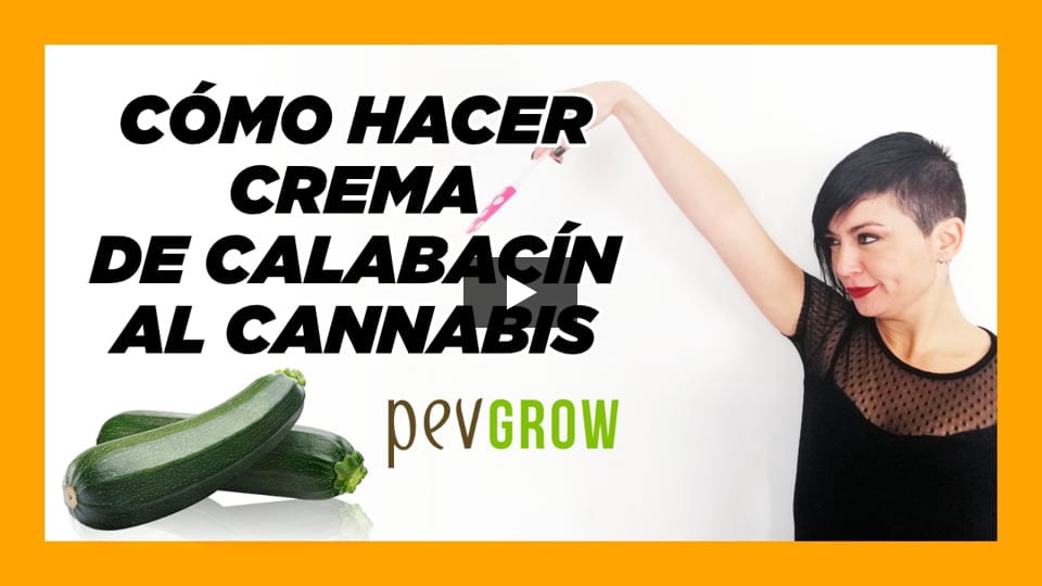 Vídeo: Cómo hacer crema de calabacín al cannabis