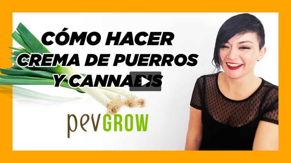 Vídeo: Cómo hacer crema de puerros y cannabis