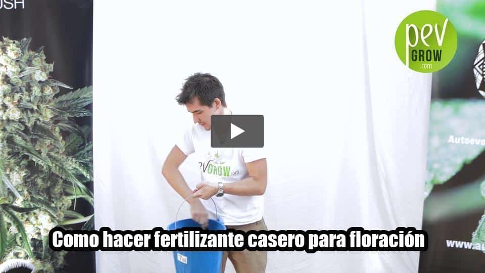 Vídeo: Como hacer fertilizante casero para floración