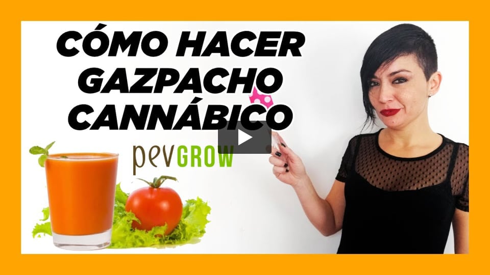 Vídeo: Como hacer gazpacho cannabico