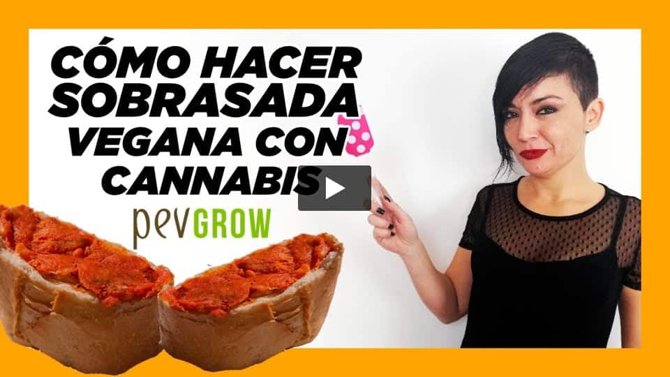 Vídeo: Como hacer sobrasada vegana con cannabis