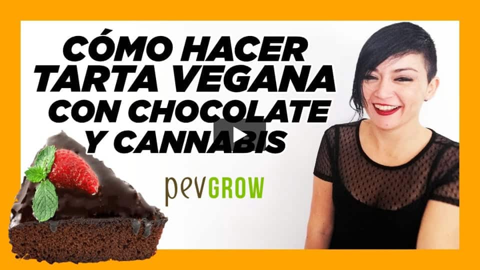 Vídeo: Como hacer tarta vegana de chocolate y cannabis