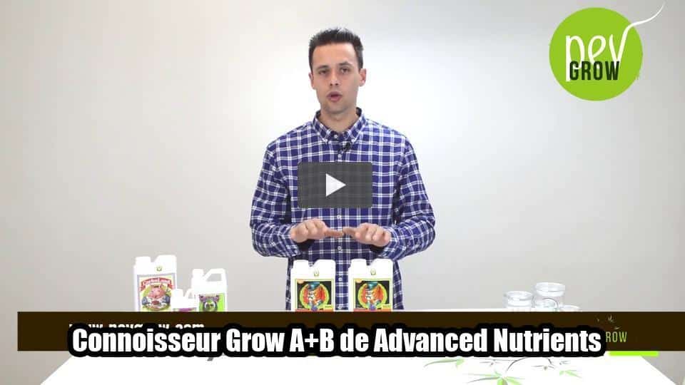 Vídeo: Connoisseur Grow A+B de Advanced Nutrients