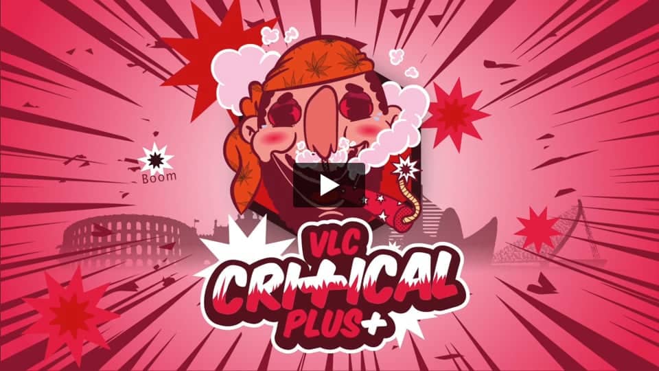 Vídeo: Critical + auto Pev Seeds