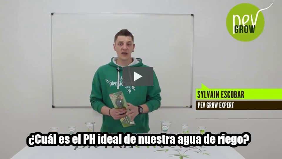 Vídeo: ¿Cuál es el PH ideal de nuestra agua de riego?