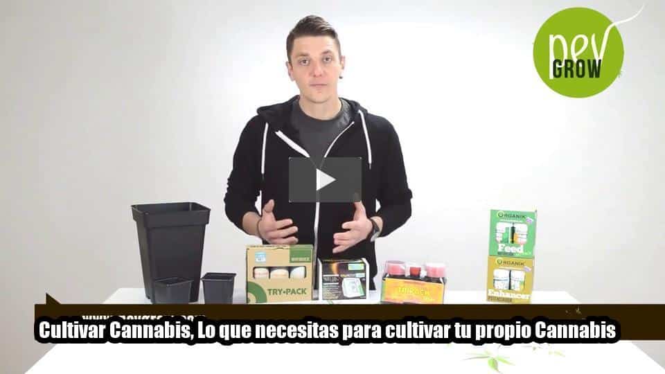 Vídeo: Cultivar Cannabis, Lo que necesitas para cultivar tu propio Cannabis