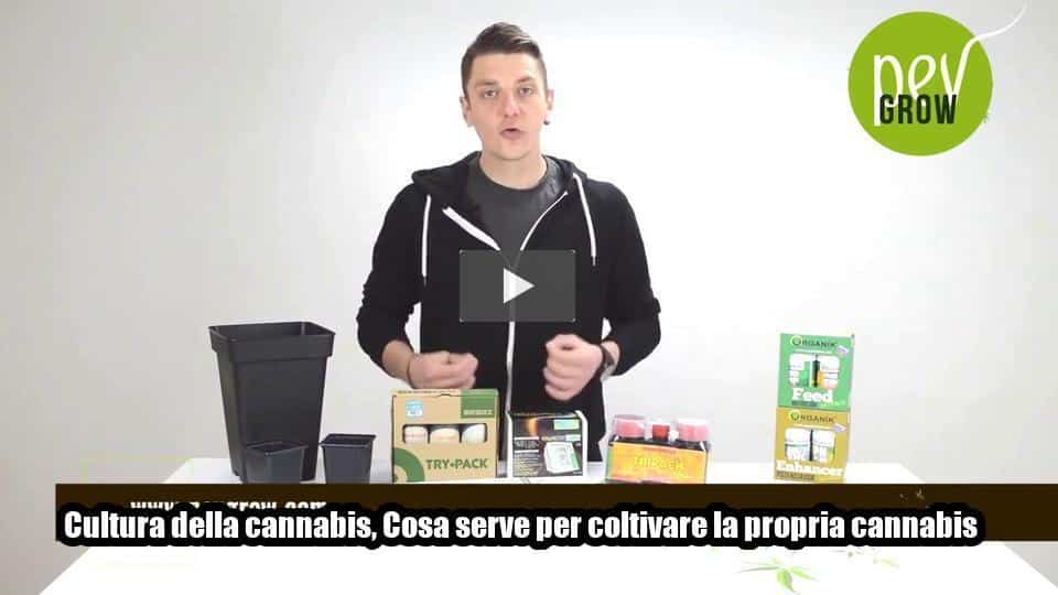 Video: Cultura della cannabis, Cosa serve per coltivare la propria cannabis