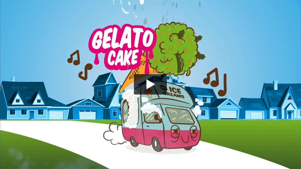 Vídeo: Gelato Cake PEV Seeds