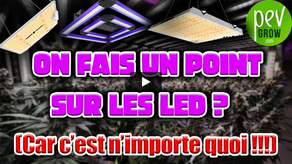 Vidéo: Guide pour cultiver de la marijuana avec LED