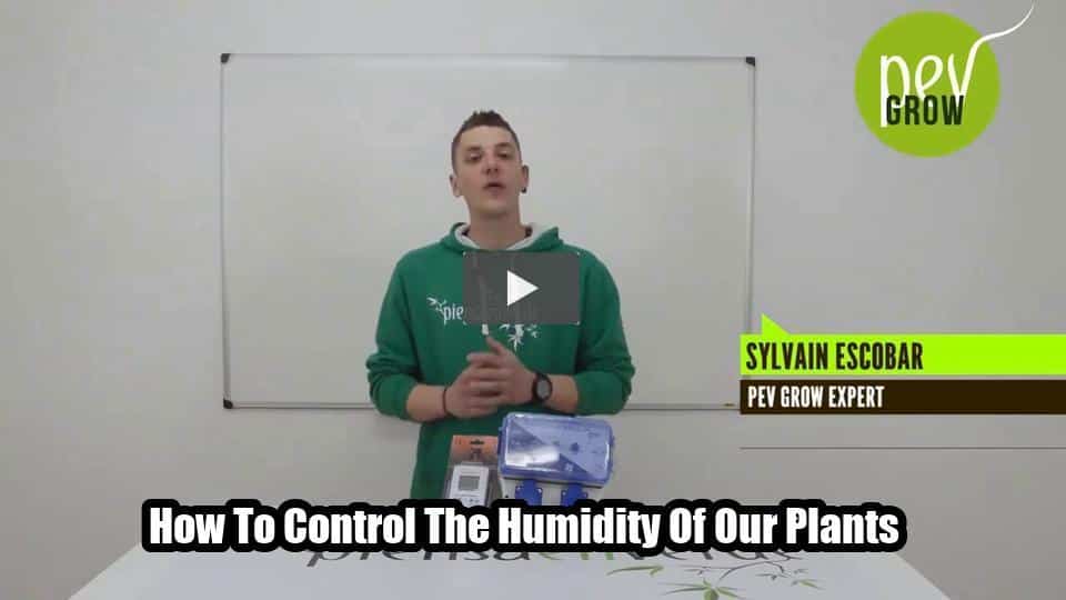 Video: How To Control The Humidity Of Our Plants