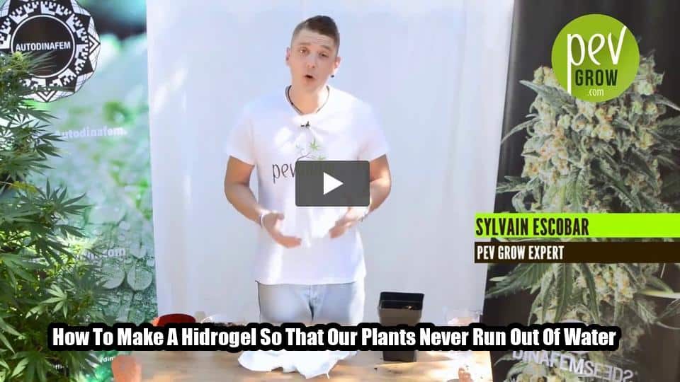 Video: How To Make A Hidrogel So That Our Plants Never Run Out Of Water