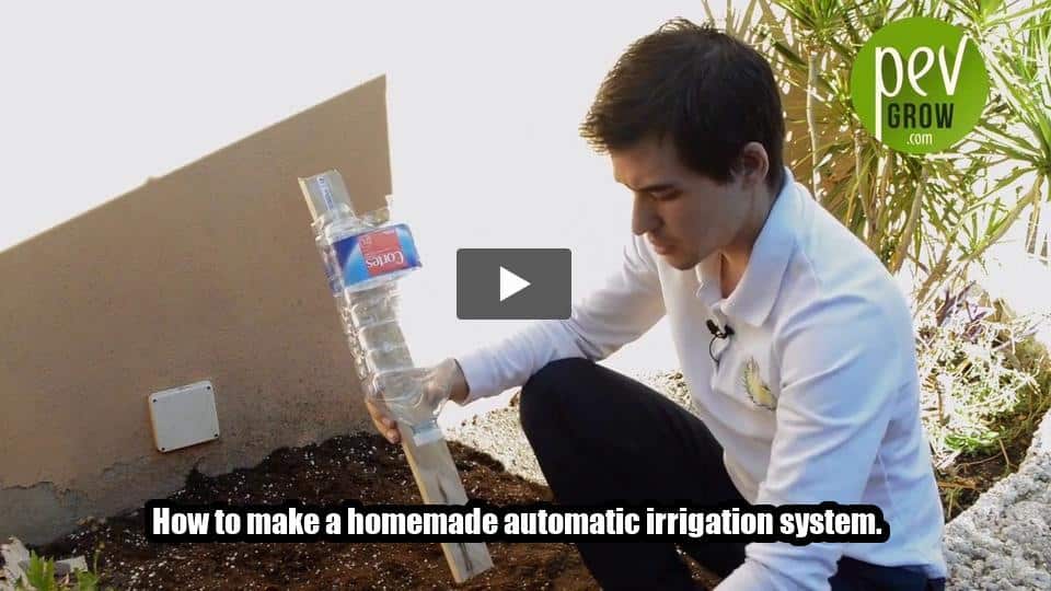 Video: How to make a homemade automatic irrigation system.