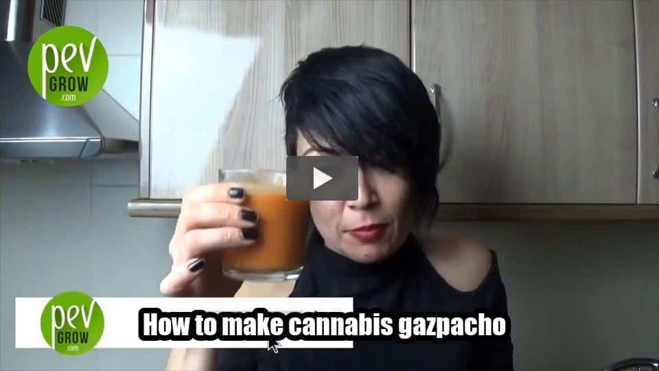 Video: How to make cannabis gazpacho