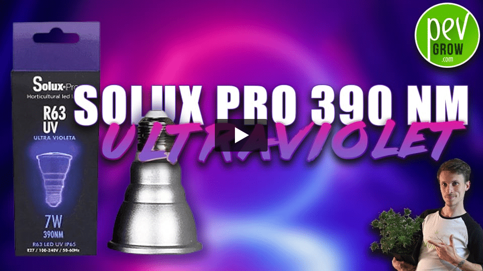 Vidéo: Led Solux Pro 7w UV 390nm