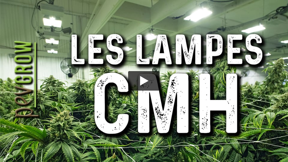 Vidéo: Les lampes LEC ou CMH, la nouvelle révélation pour la culture