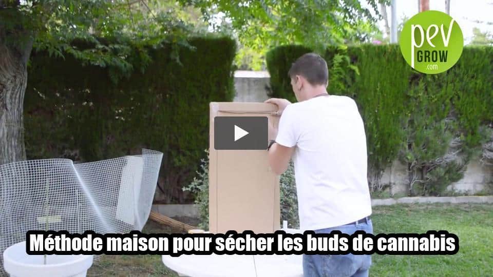 Vidéo: Méthode maison pour sécher les buds de cannabis