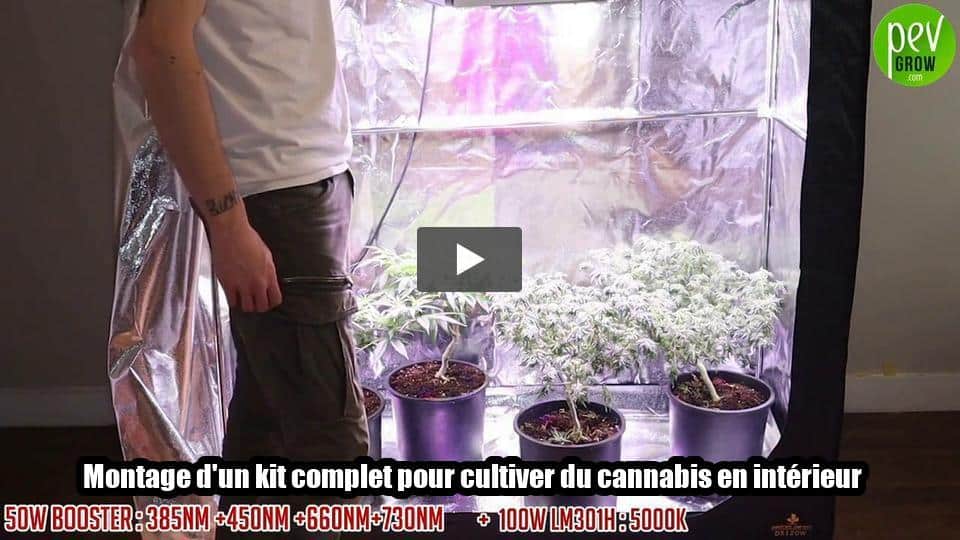 Vidéo: Montage d’un kit complet pour cultiver du cannabis en intérieur